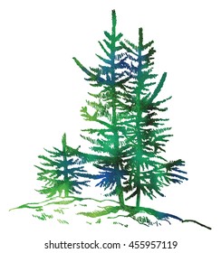Vector image of the hand of a young pine, spruce .