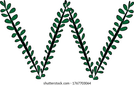 Vector image. Hand-drawn brush letter W. Part of the English alphabet. Black tree branch and bright juicy green foliage. Leaves of a Bush. The summer mood. Calligraphy and lettering. Eco, nature theme