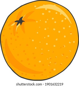 Vektorbild einer handgezeichneten Orange auf weißem Hintergrund. Eine ganze frische, saftige Orange geschält.