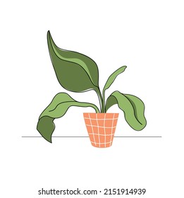 vector image in a hand-drawn style with an outline of a house plant in a pot of color terracotta in a cage print. For postcard, stickers, site. Horticulture, botany, growing.