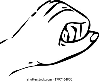 vector image of hands in different positions