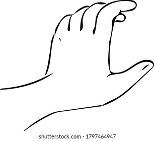 vector image of hands in different positions