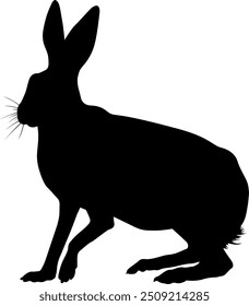 Vector image of a hare