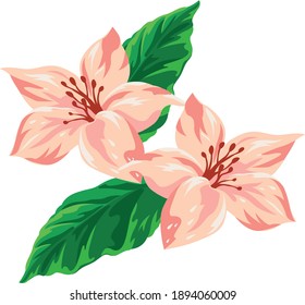 imagen vectorial de las flores y plantas tropicales hawaianas con estilo primitivo y colores decorativos