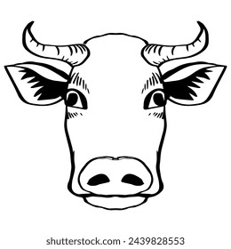 Vector image of the head of a bull. Logo concept. Vector illustration