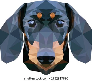 Vector image of the head of a dog of the Dachshund breed in full face in the style of slow poly. The color is black, the dog's muzzle with a friendly expression.