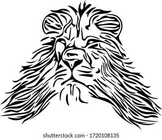 The vector image of the head of a lion, black drawing on a white background