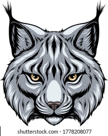 Vector image, the head of a lynx looks forward, on a white background.