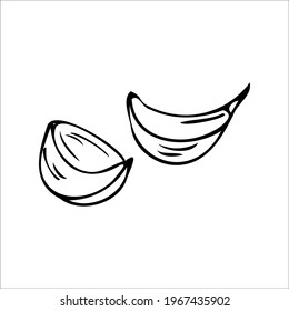 imagen vectorial de las cabezas de ajo en estilo doodle 