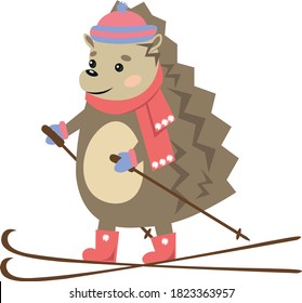 vector image of a hedgehog  on skis in a hat and mittens  