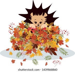 Vector image of a hedgehog in a pile of autumn foliage. From a series of illustrations with a hedgehog