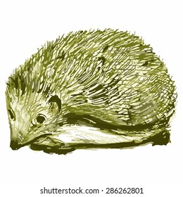 Vector image of a hedgehog. Spiny animal