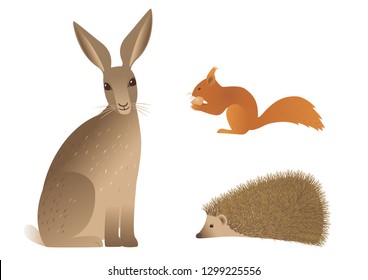 Vector image of hedgehog, squirrel and hare. 