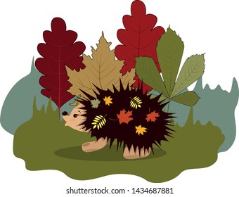 Vector image of a hedgehog walking on a forest lawn. Series of pictures