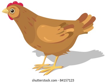 Vector image of hen