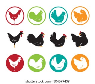 Vector image of an hen design on white background