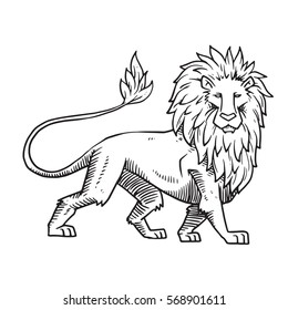 Vector image of heraldic lion with a big mane standing turned right on a white background. Coat of arms, heraldry, emblem, symbol. Made in monochrome style. Vector illustration.