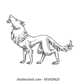 Vector image of a heraldic wolf standing turned left and howling on a white background. Coat of arms, heraldry, emblem, symbol. Made in monochrome style. Vector illustration.