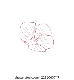 A vector image of a Hibiscus flower made in a red line art style