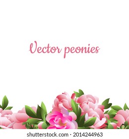 Vector image of a holiday frame made of pink peonies.