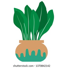 Vector image of a home flower in a pot, home garden, greenhouse, stemless. Plant in a ceramic pot with blue stain, white background. Illustration for banner, greeting card, print on fabric. Flat style