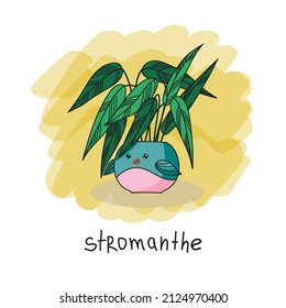 Vector image of a home plant in a flower pot in the form of a bird. Illustration for postcards, posters, decor, tableware and stationery.