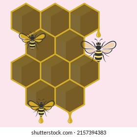 vector image of a honey bee entering a honeycomb filled with honey, good for posters, promotional media, ads, or graphic design