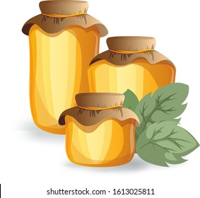 Vector image of honey in various containers. Appetizing fresh amber honey