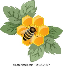 Vector image of a honeycomb as a concept of a flower being a honey plant. And the bee that sits on the flower