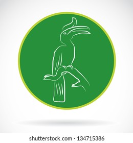 Vector image of an hornbill , illustration - vector