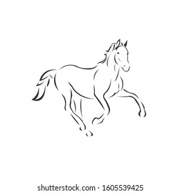 Simple Line Art Horse Stock Vector (royalty Free) 1022619808 