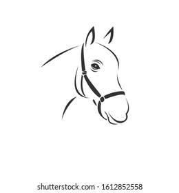 Vector image of an horse black and white. design style. animal. art. symbol. logo. Illustrator. on white background.