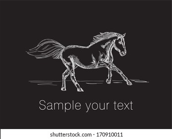 Vector image of horse on a black background. vector illustration