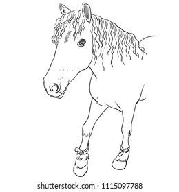 Vector image of an horse on white background. Outline sketch illustration of beautiful horse portrait one line