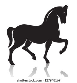 Vector image of an horse on white background