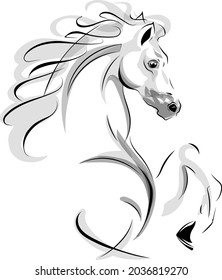 Vector image of horse on white background. eps10