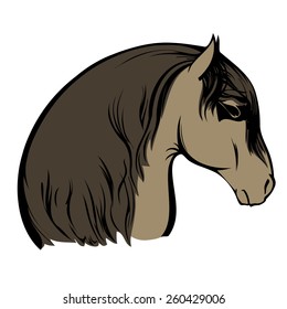 Vector image of an horse on white background