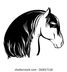 Vector image of an horse on white background