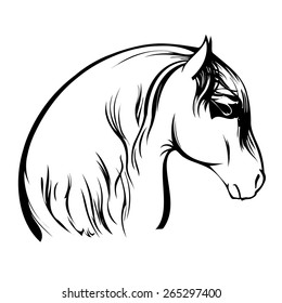 Vector image of an horse on white background
