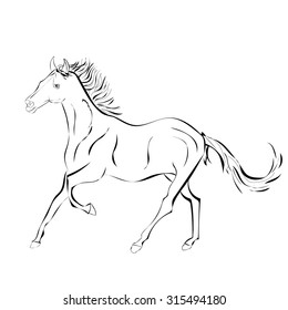 Vector image of an horse on white background.