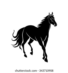 Vector image of an horse on white background