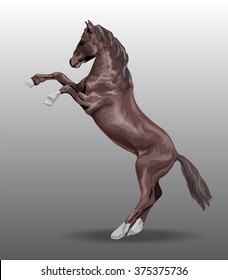 Vector image a horse, a rearing