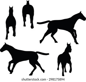 Vector Image - horse silhouette isolated on white background 
