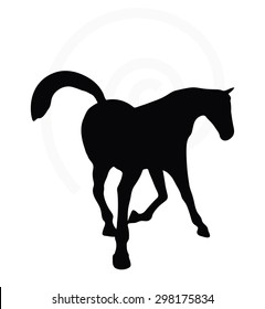 Vector Image - horse silhouette in looking good pose isolated on white background 