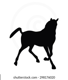 Vector Image - horse silhouette in looking good pose isolated on white background 