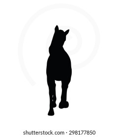Vector Image - horse silhouette in loping pose isolated on white background 