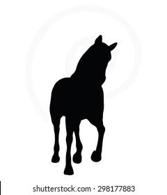 Vector Image - horse silhouette in loping pose isolated on white background 