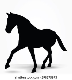 Vector Image - horse silhouette in parade walk pose isolated on white background 