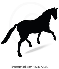 Vector Image - horse silhouette in parade walk pose isolated on white background 
