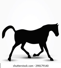 Vector Image - horse silhouette in prancing walk pose isolated on white background 